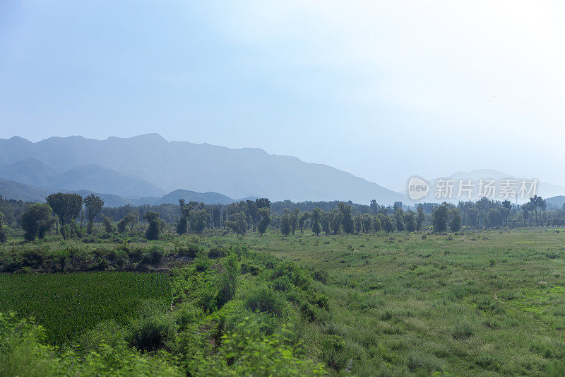 自然背景。绿叶植物和远山。旅游、度假。