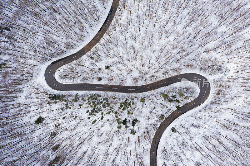 冬天从上面穿过森林的蜿蜒道路