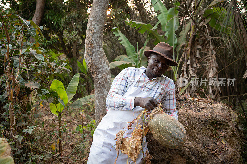 一个刚从地里收获南瓜的农民，一个成功的非洲农民。
