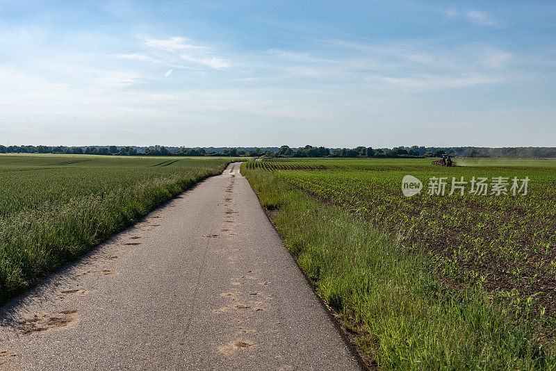 科隆郊外的乡间小路和田野