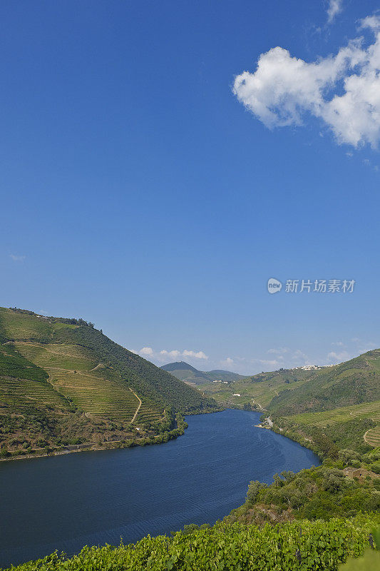 在杜洛山谷的葡萄园里徒步旅行。