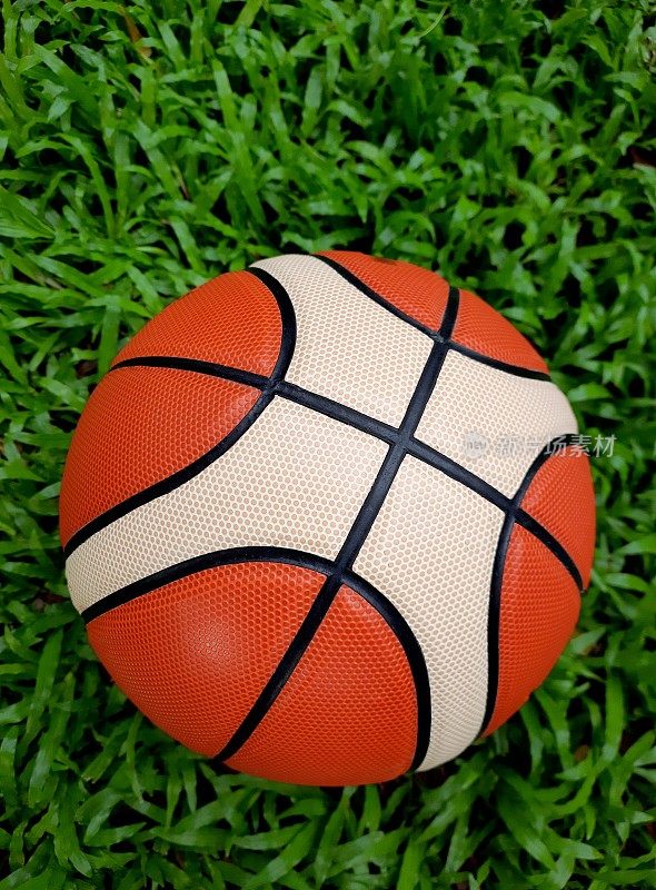 封闭的篮球-绿色的草地背景。