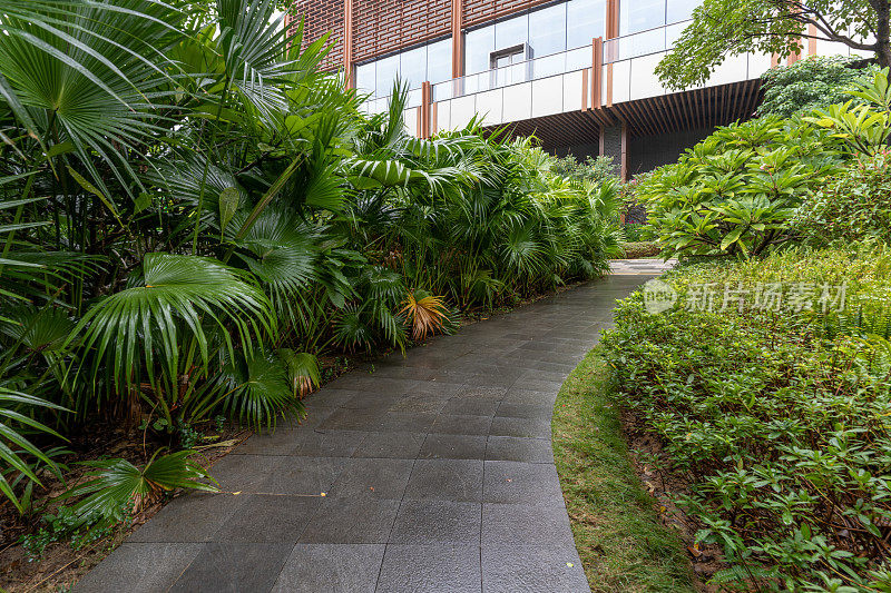 雨天室外地面道路和路边绿色植物