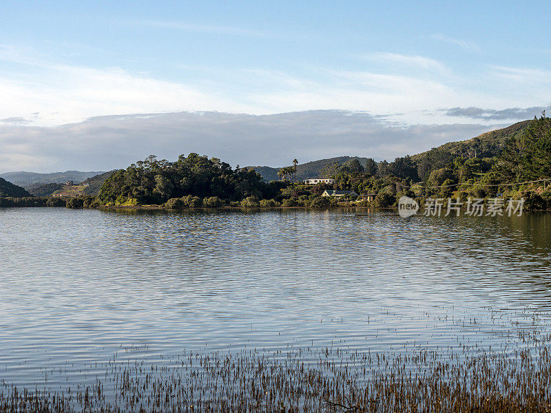 新西兰北岛的湖边风景