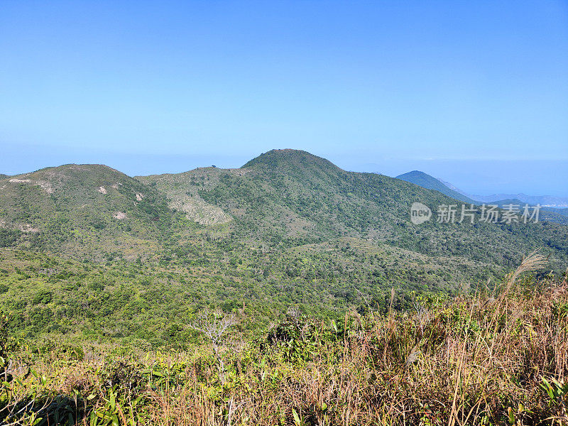 香港西贡东郊野公园大湛锦鲤山景观