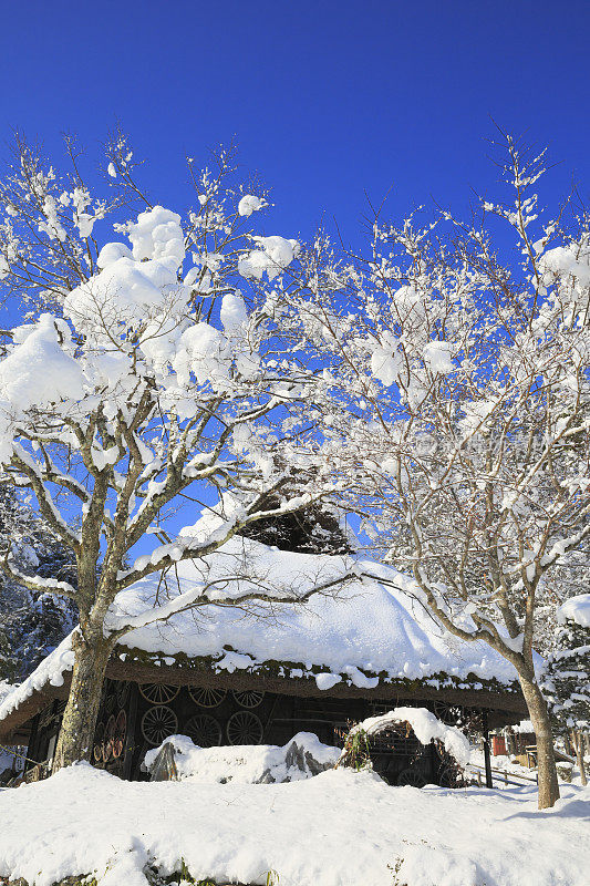 雪中的飞驒村，日本，岐阜县，高山，岐阜市