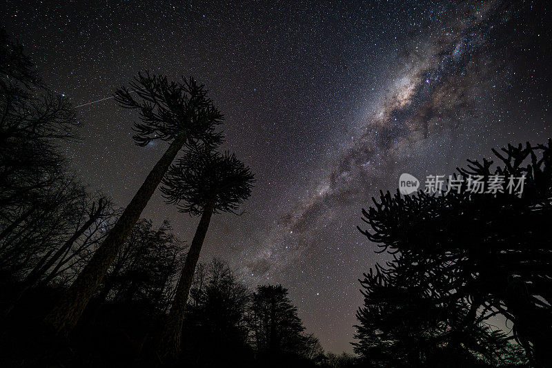 巴塔哥尼亚星夜中的银河