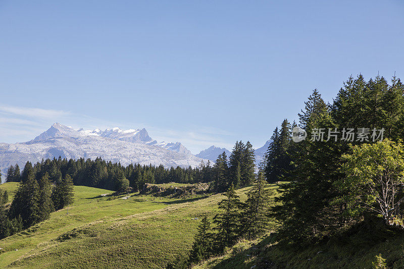 从瑞士施维茨的斯图斯高山村庄俯瞰雪山全景