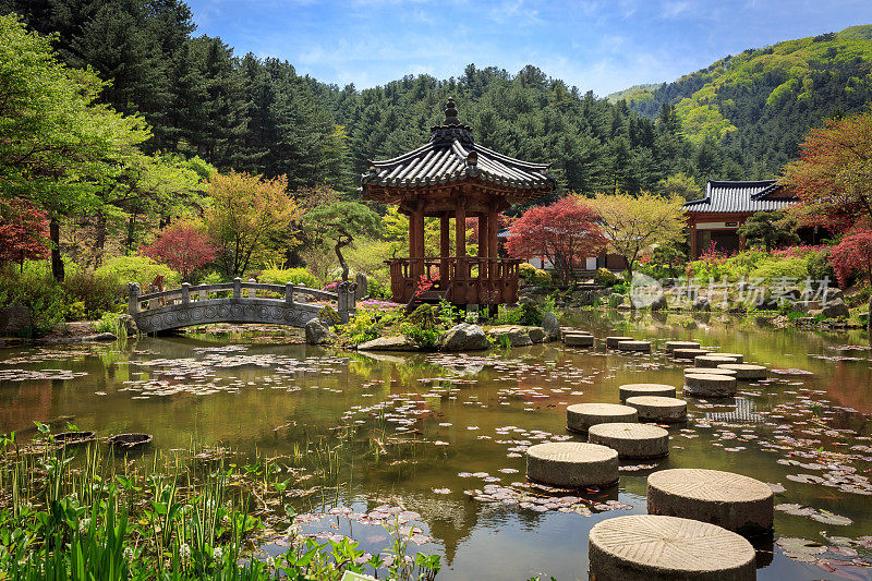 湖中的韩国亚洲寺庙