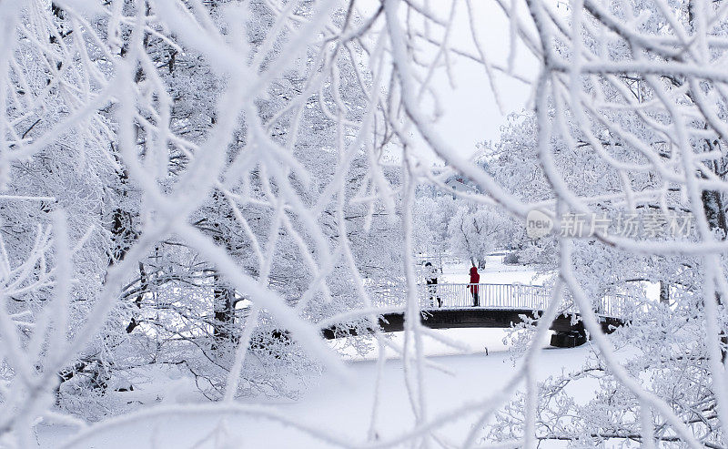公园里的树都结满了霜，湖面上结满了冰。人们站在一座小木桥上。