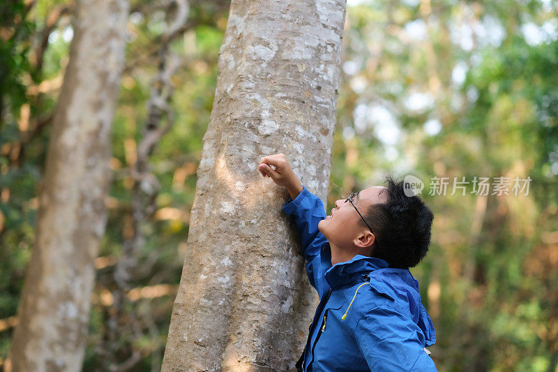 年轻的亚洲男子仰视，手臂倚在大树上，大自然围绕着他，绿色的散景和光线闪烁着淡淡的微笑和清新的感觉，人们对自然负责的观念。