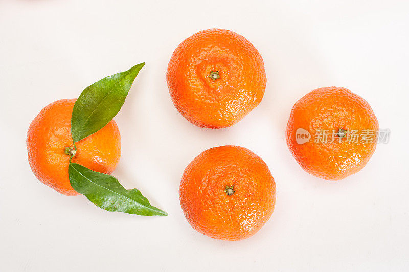 橙、葡萄柚