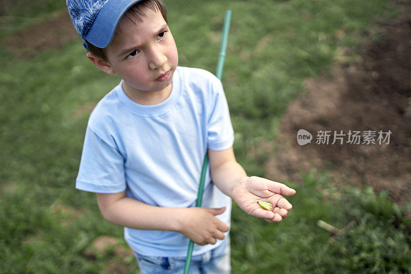 可爱的白人男孩抓蝴蝶，并在他的手掌上展示它