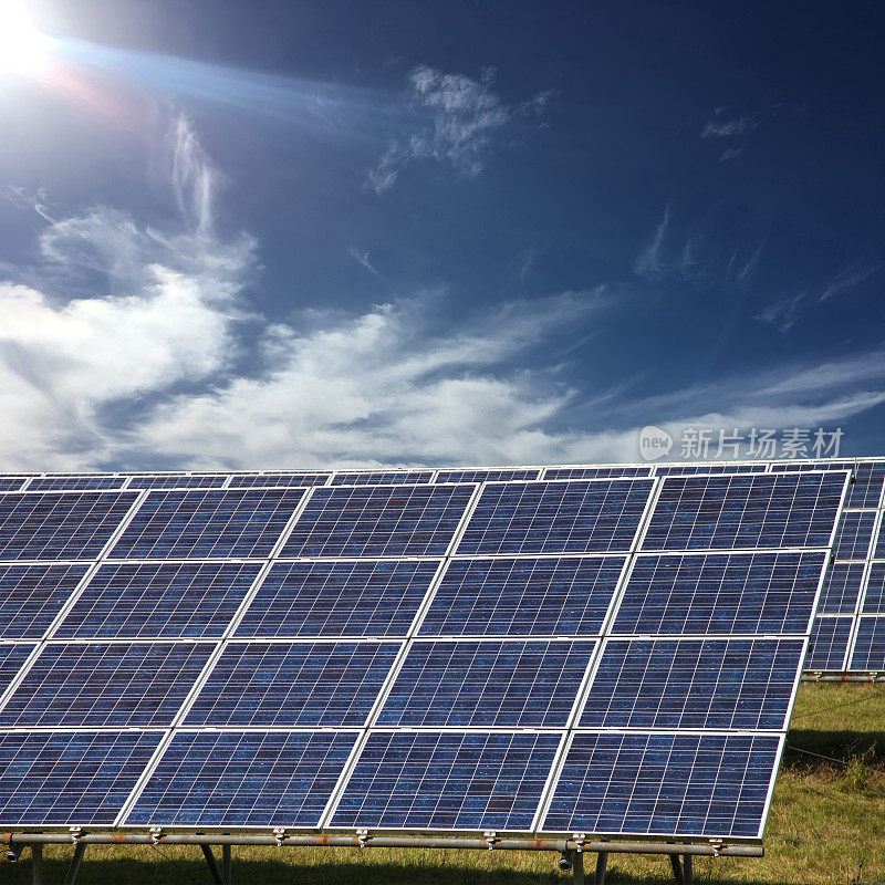 太阳能电池板发电厂的野外农场