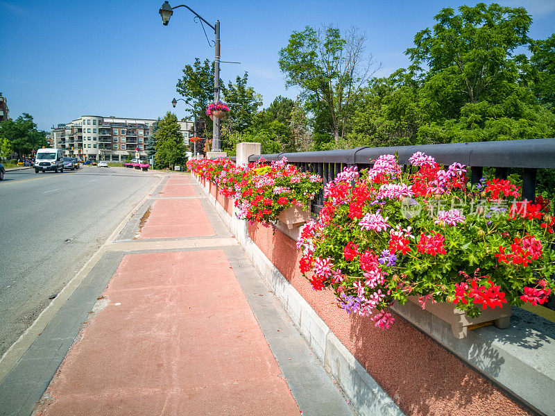 加拿大安大略省伍德布里奇镇的街景