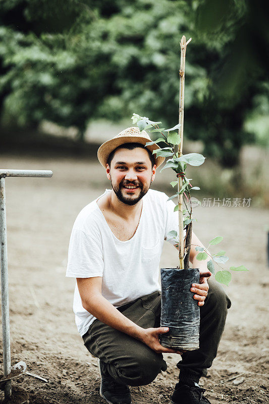 春天，人们在户外植树