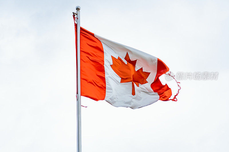加拿大国旗挥舞着