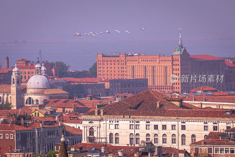 一群鸟儿飞过威尼斯城市的天际线屋顶——意大利