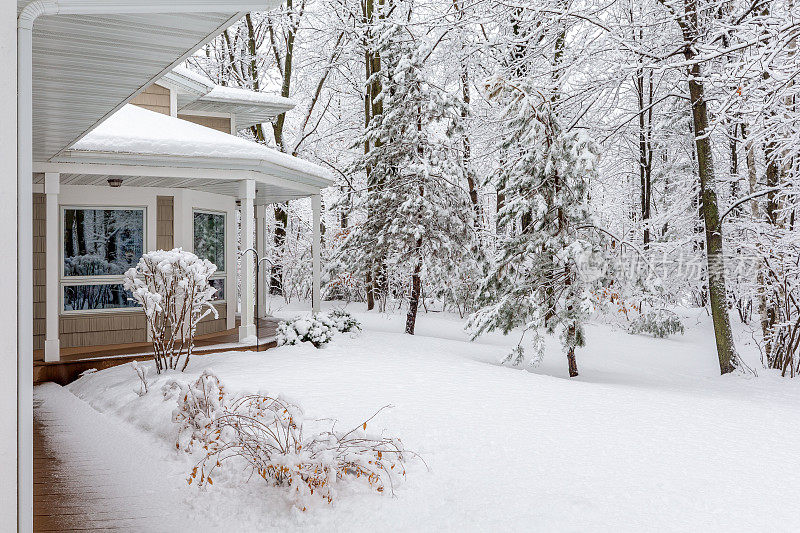 冬天雪树林里的家