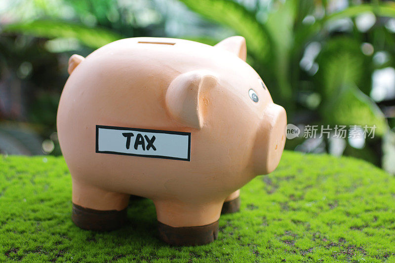 图像的小猪银行与插槽顶部与税务标签，家庭财务和储蓄的概念