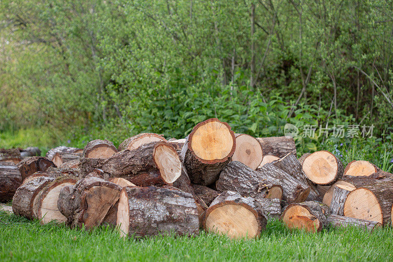 橡木木柴准备劈开的原木