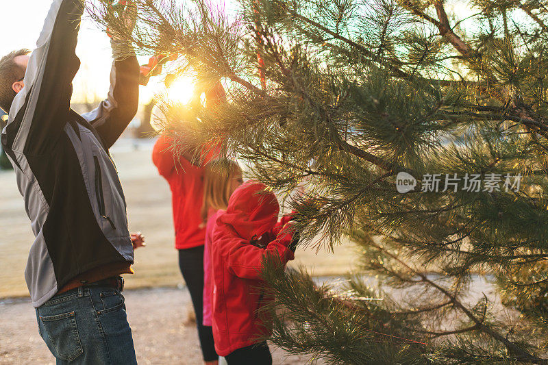 父亲，母亲，女儿和儿子在冬天准备圣诞节