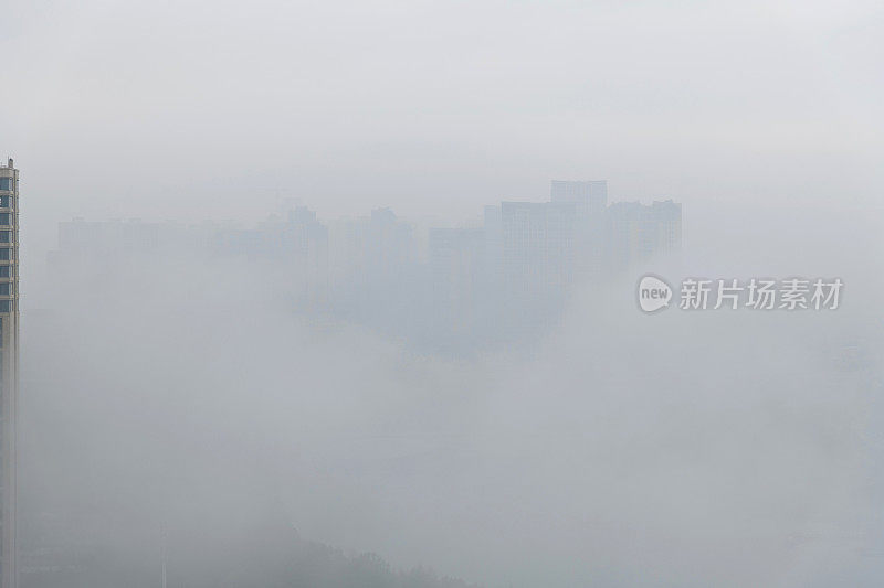 早晨城市的建筑物被雾覆盖着