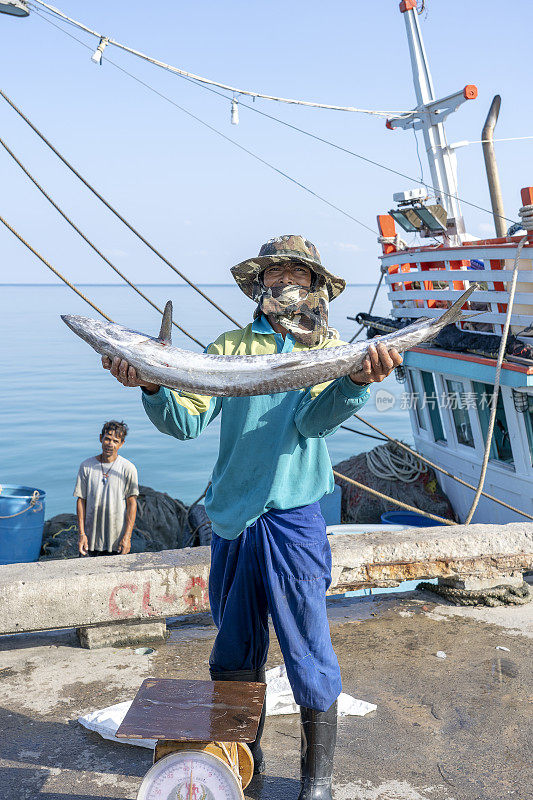 泰国渔民展示在帕岸岛渔船附近的码头上捕获的鱼