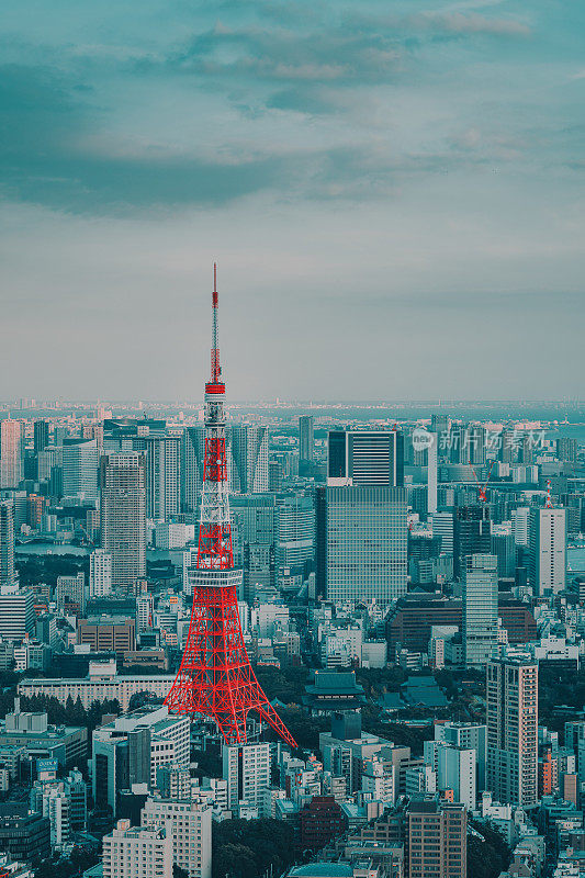 日本黎明时分的东京市景