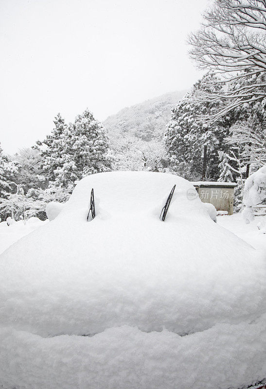 汽车完全被雪覆盖了