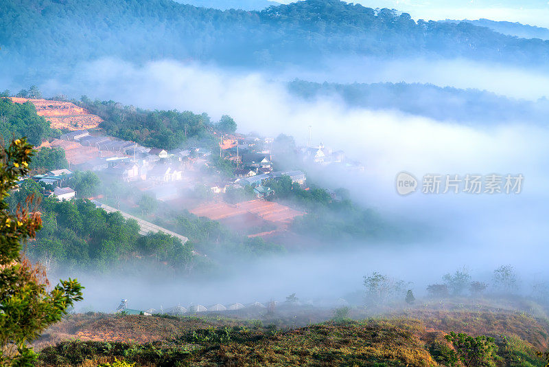 晨雾中山坡上的景色