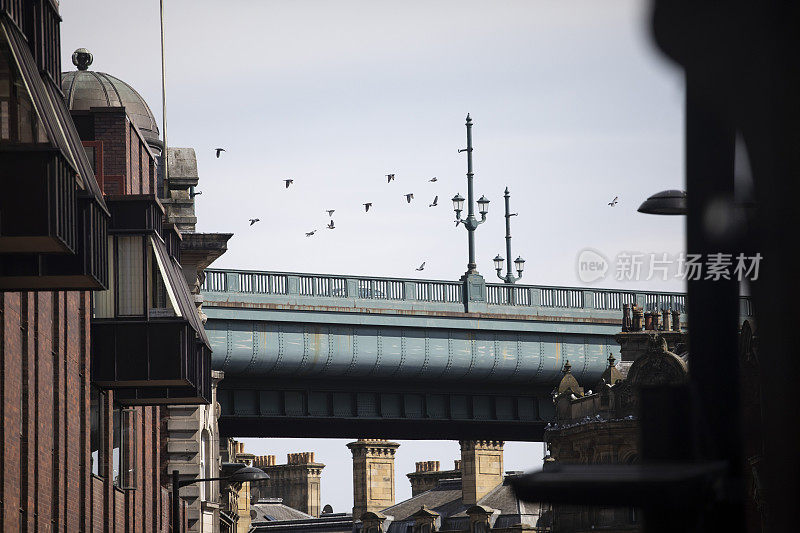 从街上望去，鸟儿飞过泰恩桥