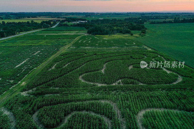 加拿大库克敦，夕阳下27号公路上的农场