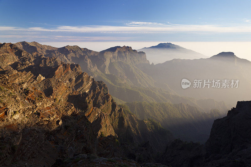 棕榈树山