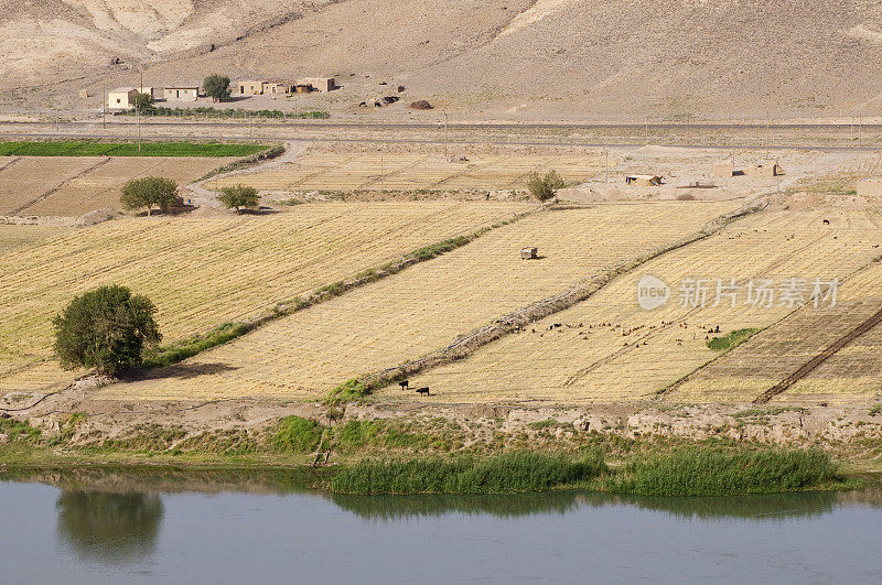 叙利亚哈拉比耶幼发拉底河上的田野