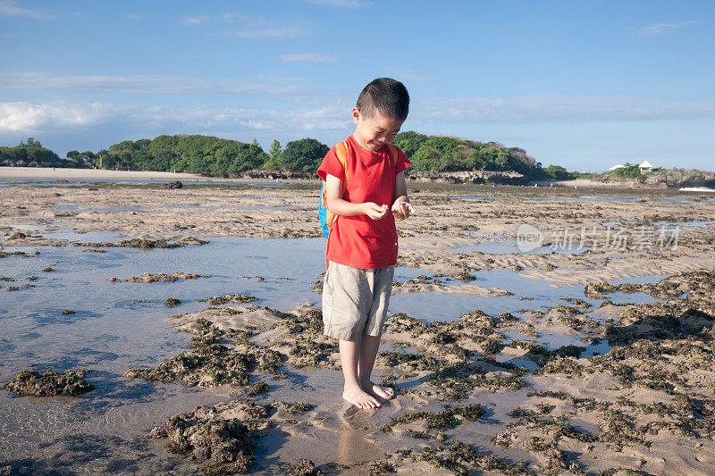 小男孩在退潮时在海滩上欢呼