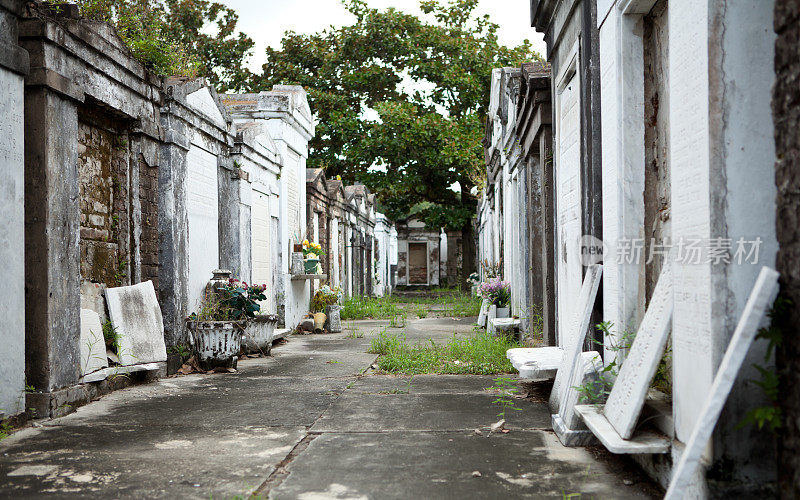 新奥尔良的老墓地