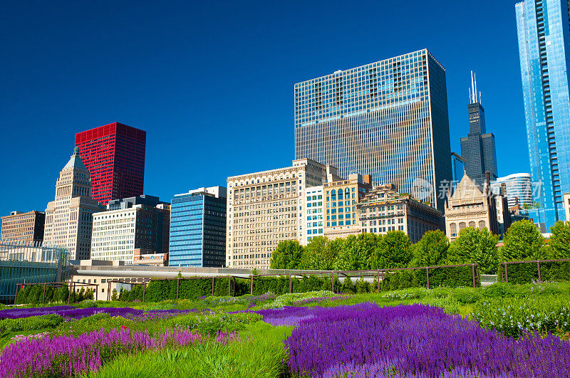 千禧公园花园和芝加哥市中心的建筑