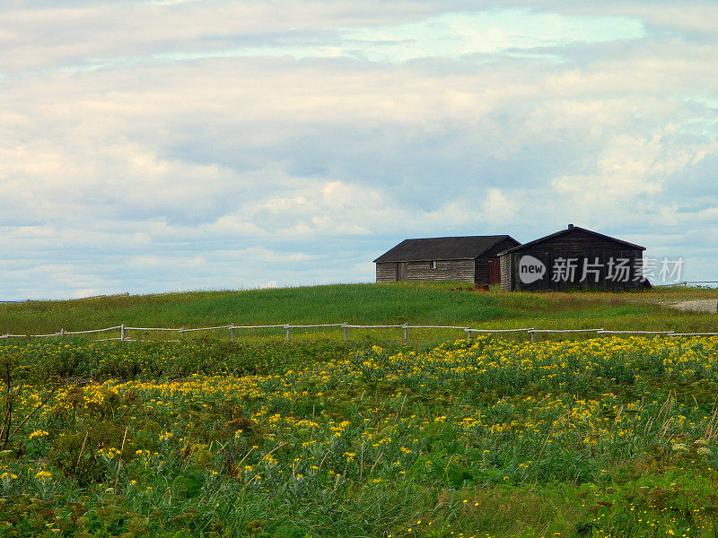 钓鱼山