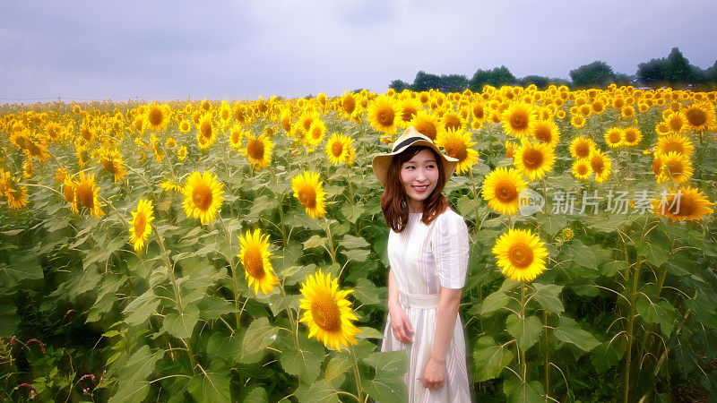 年轻女子站在向日葵地里