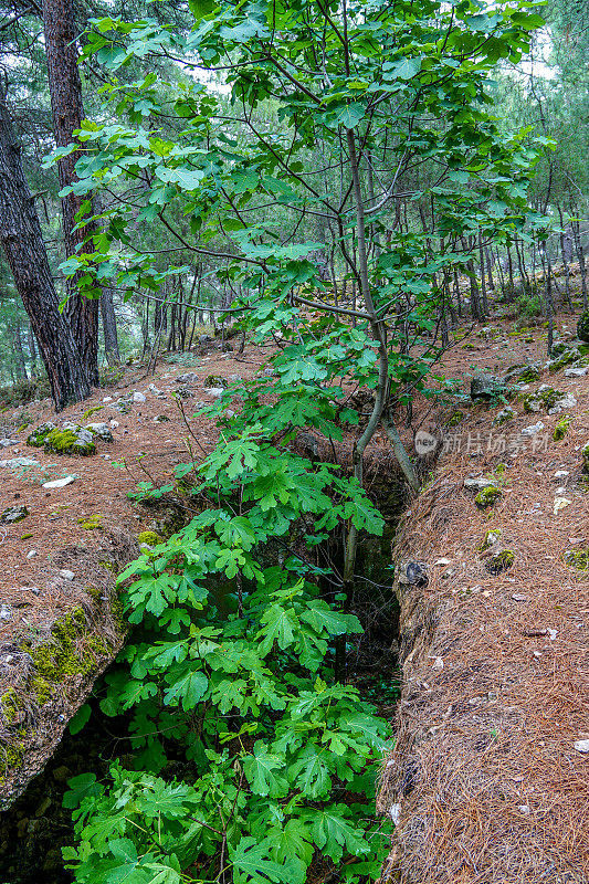 Cadianda古城