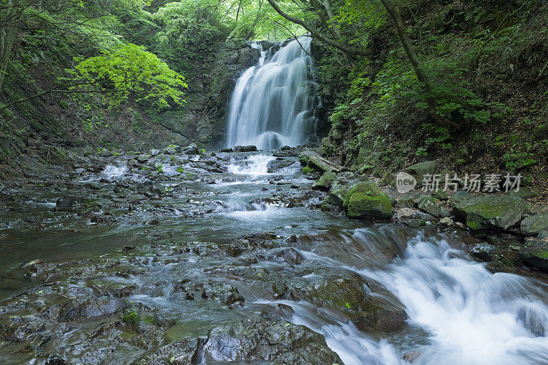 森林中的瀑布和山溪