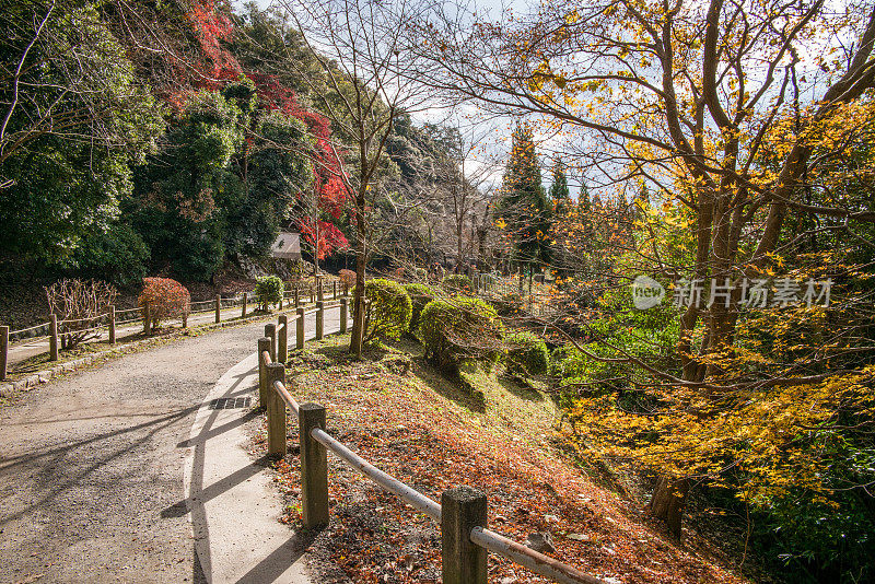 京都的哲学家之路