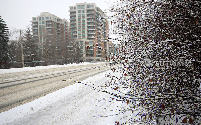 雪地城市道路上的轮胎轨迹