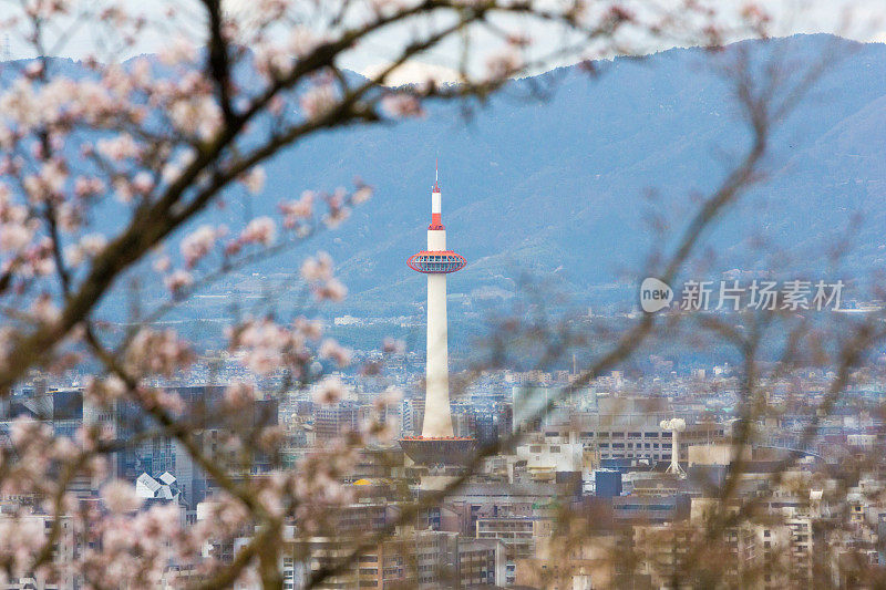 日本本州的京都塔