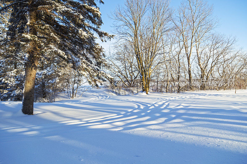 明尼苏达冬天-新鲜的雪和雪地摩托的轨道