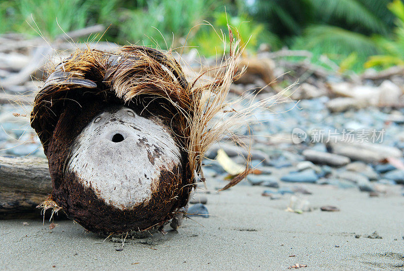 哥斯达黎加海滩上惊喜的椰子脸