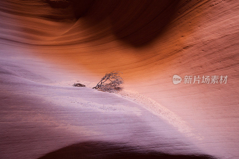 秘密峡谷，佩奇，亚利桑那州，美国