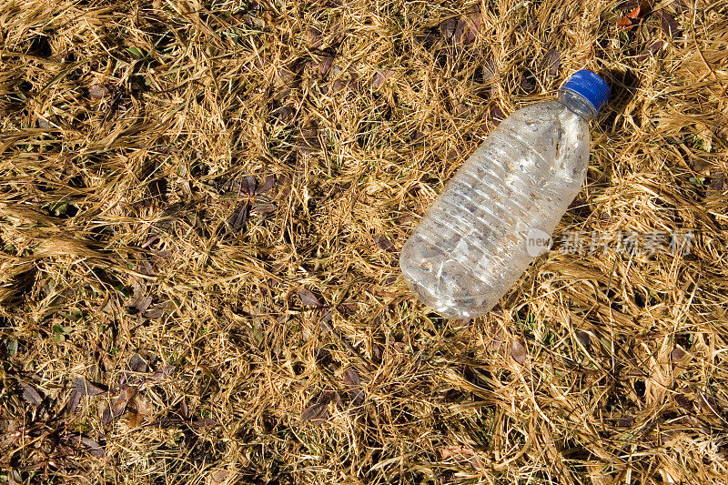 废弃的塑料瓶