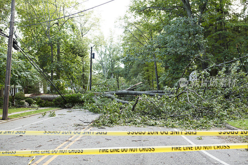 飓风艾琳倒下的树阻塞了道路